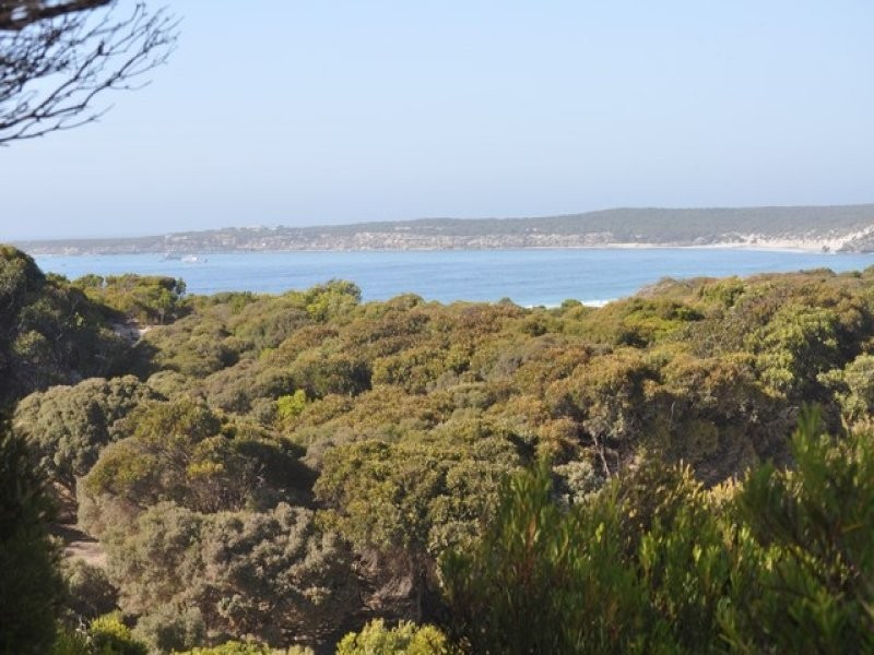 91 Flinders Road, Vivonne Bay SA 5223