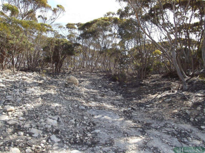 19 Glen Barrett Drive, Kingscote SA 5223