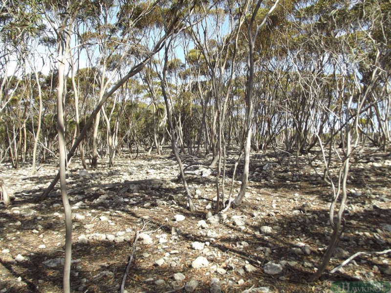 19 Glen Barrett Drive, Kingscote SA 5223