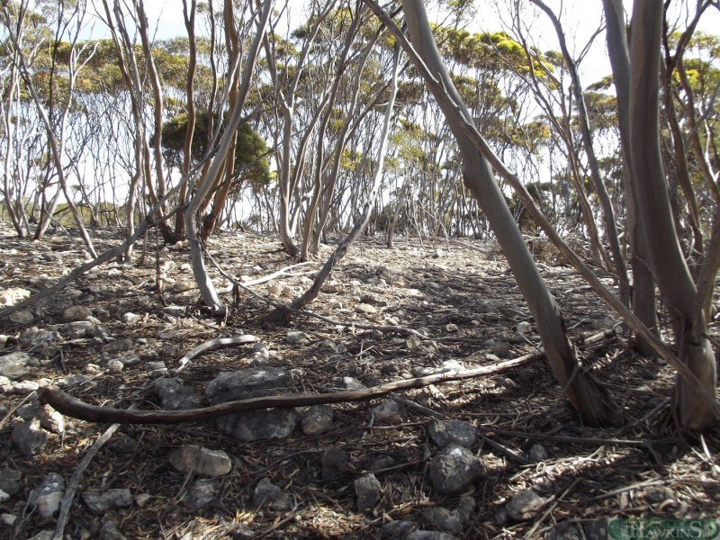 19 Glen Barrett Drive, Kingscote SA 5223