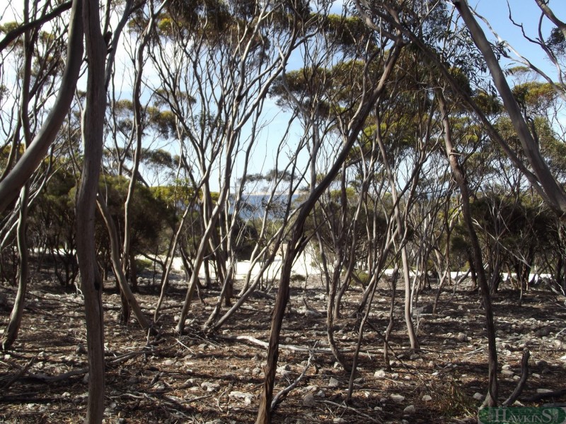 19 Glen Barrett Drive, Kingscote SA 5223