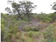 171 Borda Road, Island Beach SA 5222