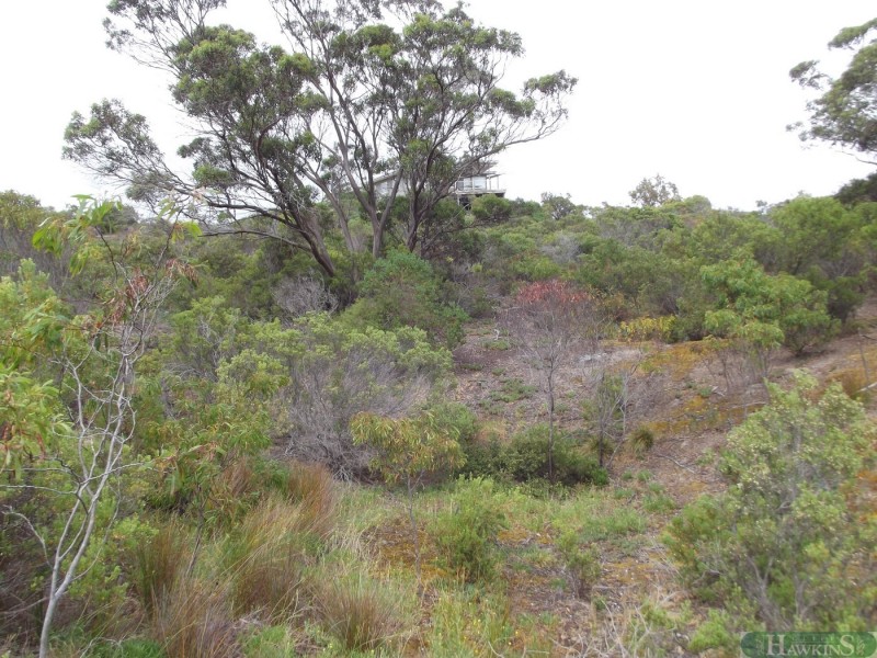 171 Borda Road, Island Beach SA 5222