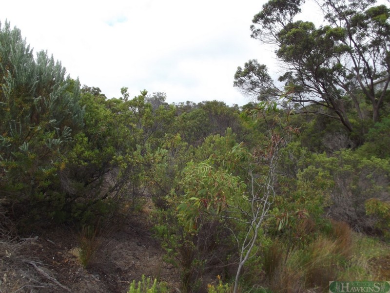 171 Borda Road, Island Beach SA 5222