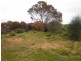 5 Redbanks Road, American River SA 5221