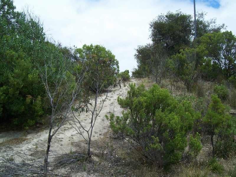 97 Flinders Grove, Island Beach SA 5222