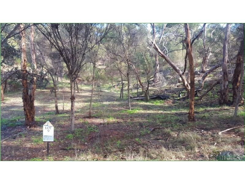 9 Falie Court, American River SA 5221