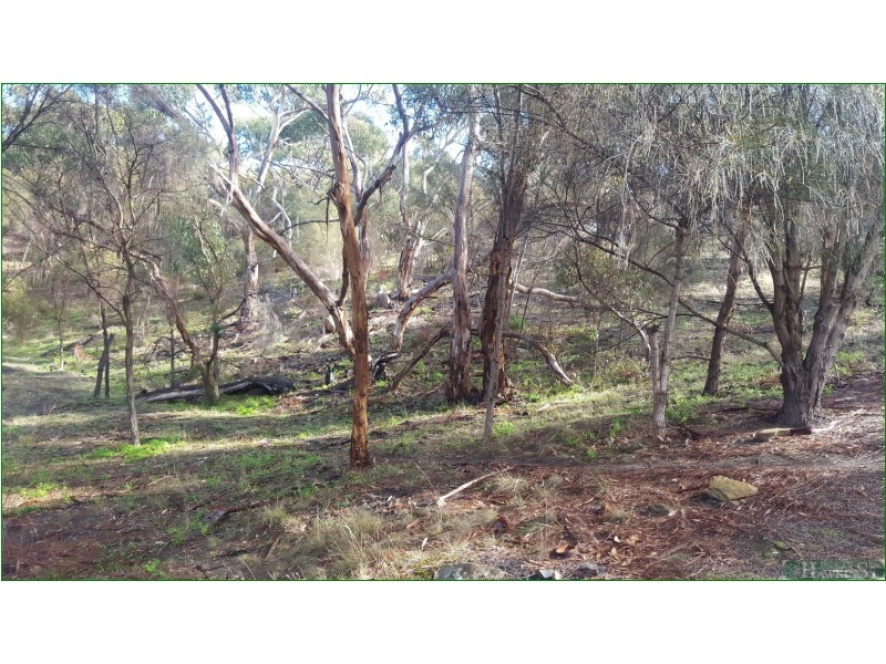 9 Falie Court, American River SA 5221