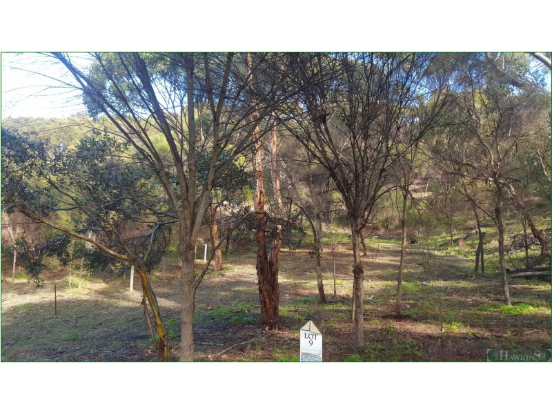 9 Falie Court, American River SA 5221