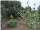 19D Ayliffe Street, Kingscote SA 5223