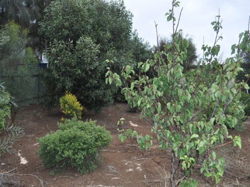 19D Ayliffe Street, Kingscote SA 5223