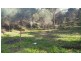 8 Falie Court, American River SA 5221