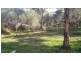 8 Falie Court, American River SA 5221