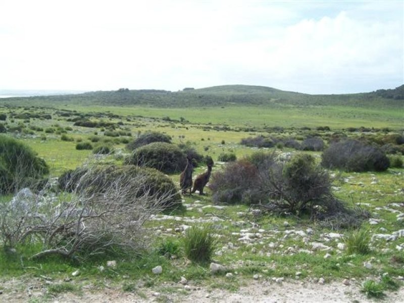 11 Cathers Rd, Pelican Lagoon SA 5222