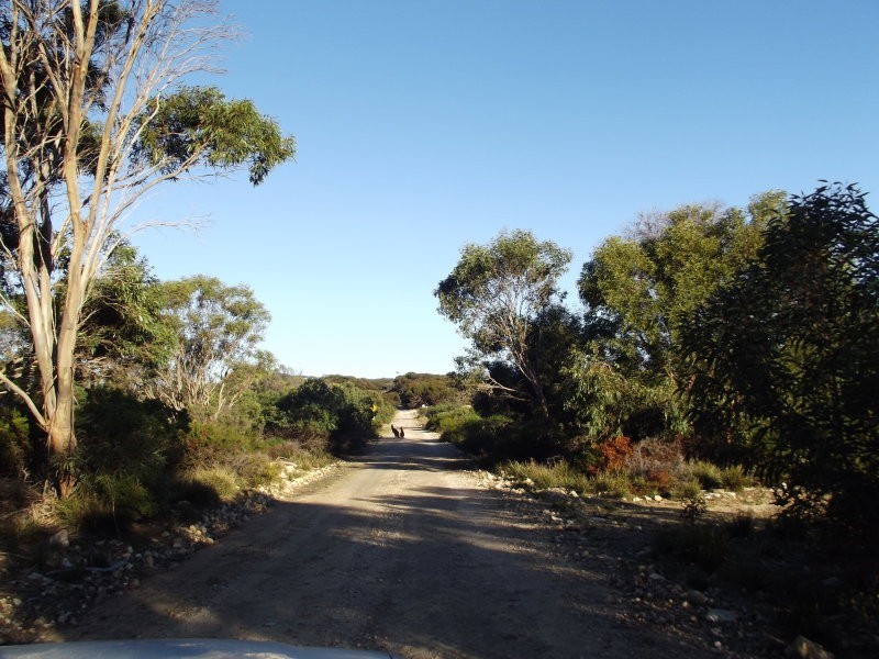 11 Cathers Rd, Pelican Lagoon SA 5222