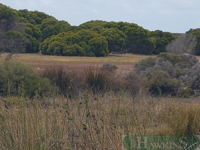 3 Three Chain Road, Haines SA 5223