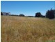 14 Dolphin Way, Penneshaw SA 5222
