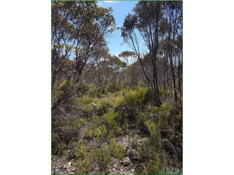 91 Elsegood Road, D’estrees Bay SA 5223