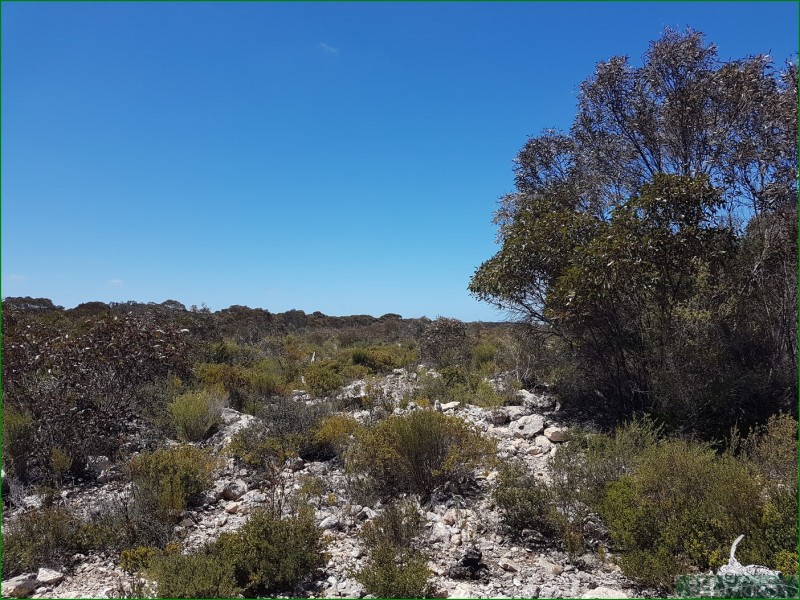 91 Elsegood Road, D’estrees Bay SA 5223