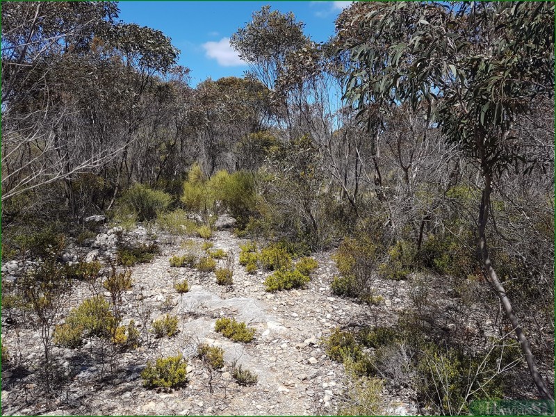 91 Elsegood Road, D’estrees Bay SA 5223