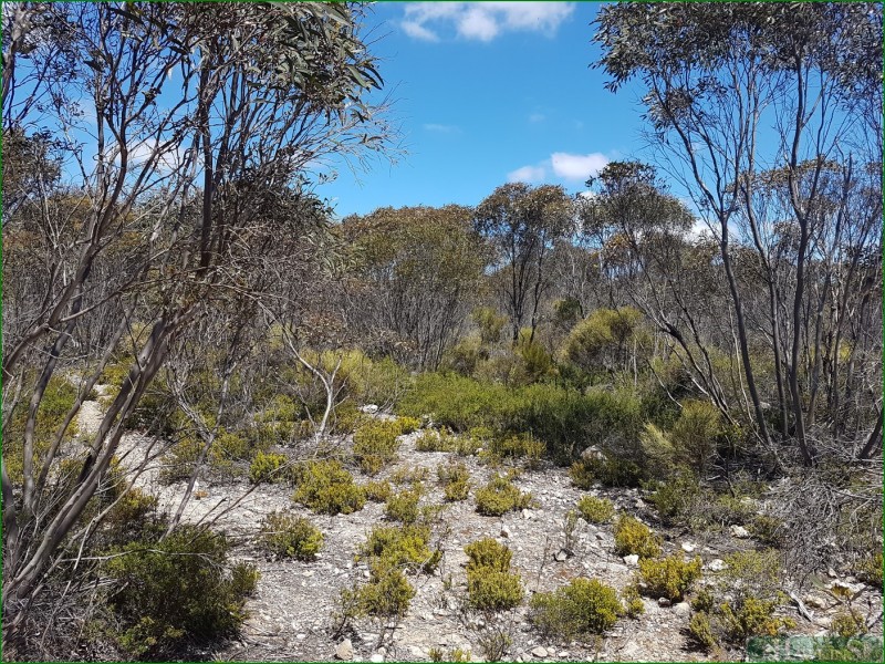 91 Elsegood Road, D’estrees Bay SA 5223