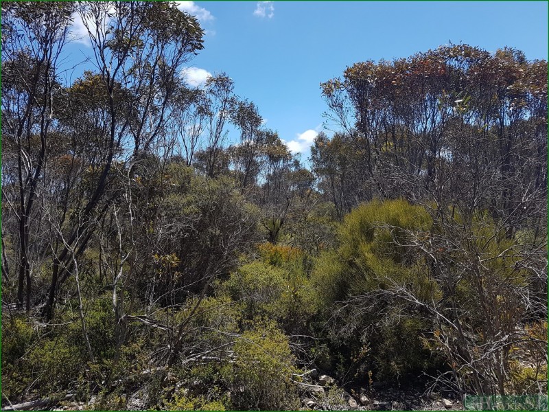 91 Elsegood Road, D’estrees Bay SA 5223