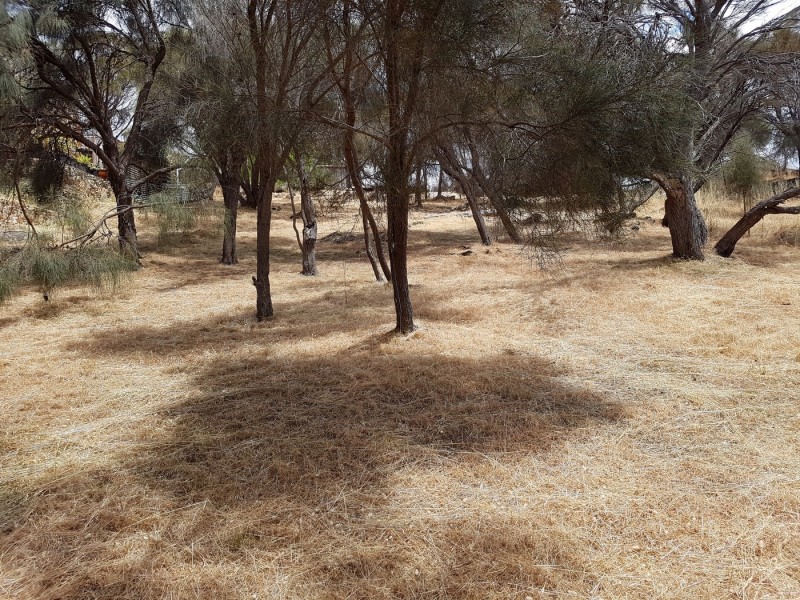 166 Binneys Track, Penneshaw SA 5222