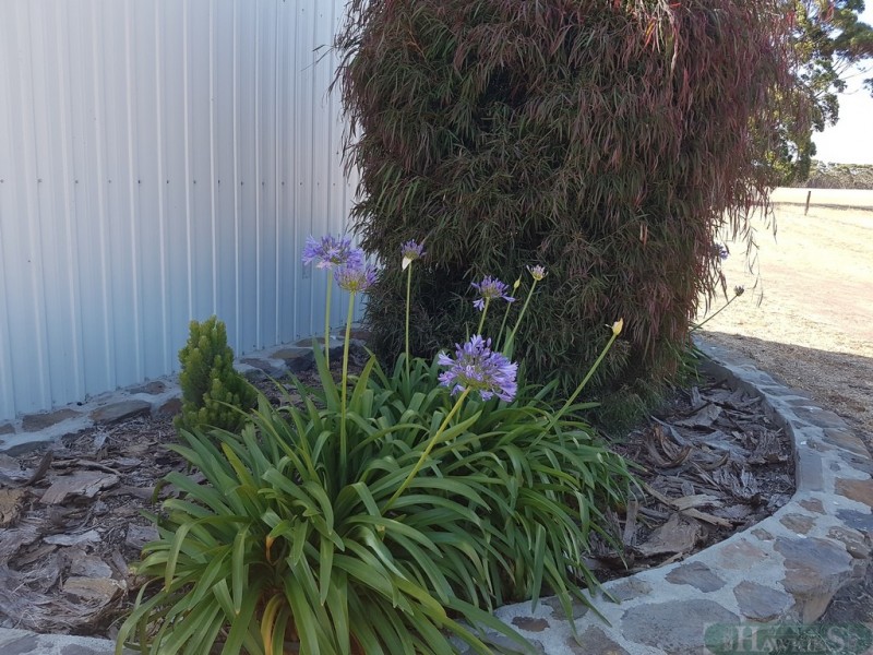 264 Doug Road, Dudley East SA 5222