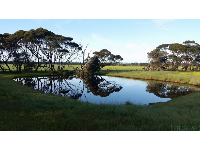 301 Gum Creek Road, Cygnet River SA 5223