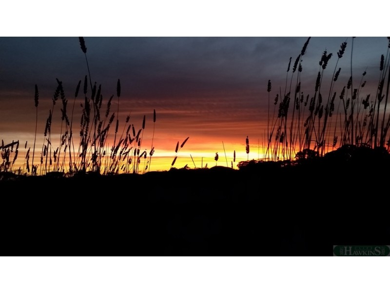 301 Gum Creek Road, Cygnet River SA 5223