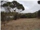 16 Redbanks Road, American River SA 5221