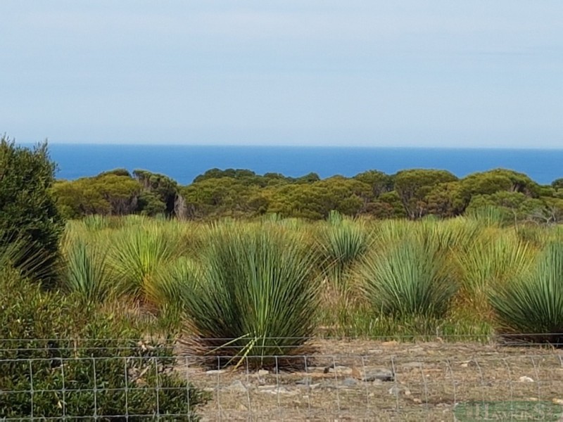 2332 Cape Willoughby Rd, Antechamber Bay SA 5222