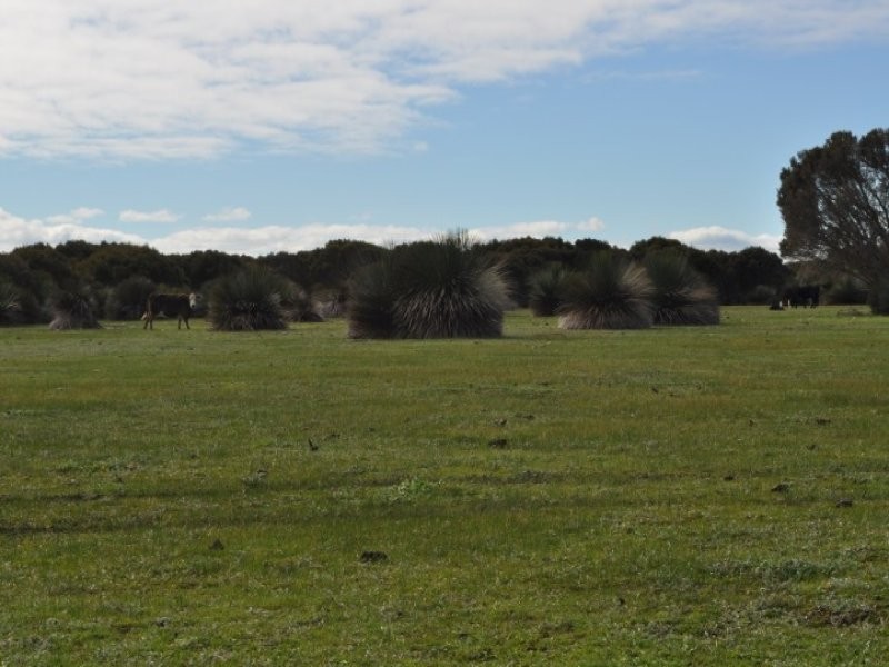 2332 Cape Willoughby Rd, Antechamber Bay SA 5222