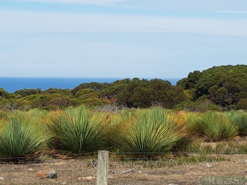 2332 Cape Willoughby Rd, Antechamber Bay SA 5222