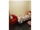 26 Investigator Avenue, Kingscote SA 5223