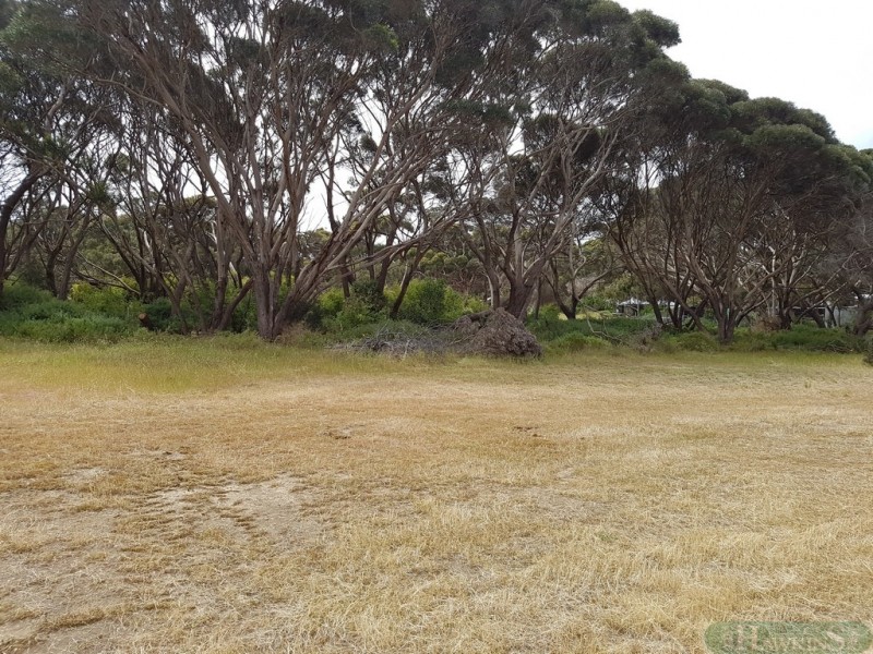 1 Sea Eagle Way, American River SA 5221