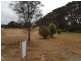 1 Sea Eagle Way, American River SA 5221