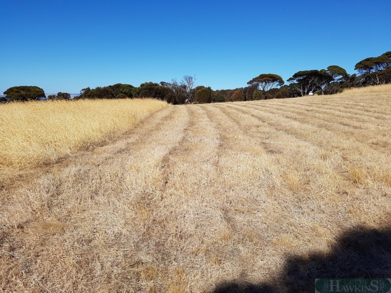 28 Dolphin way, Penneshaw SA 5222