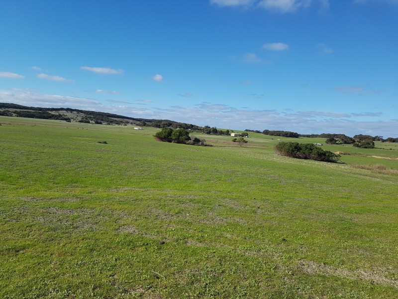 142 Florance Road, Haines SA 5223