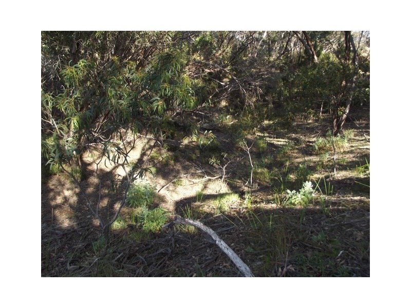 208 Borda Road, Island Beach SA 5222