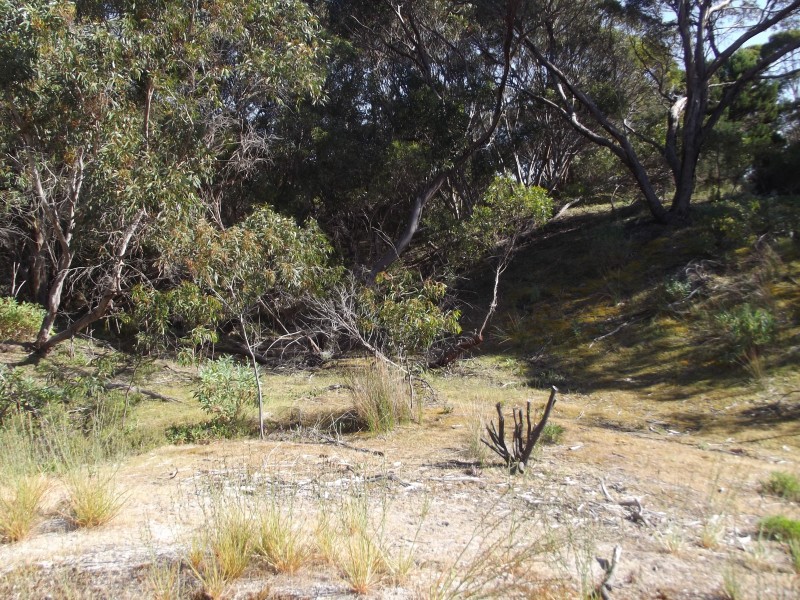 208 Borda Road, Island Beach SA 5222