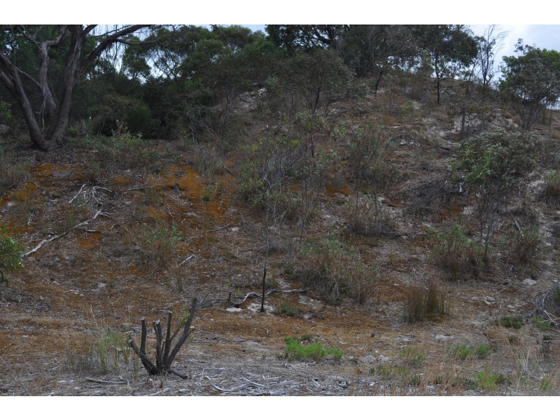 208 Borda Road, Island Beach SA 5222