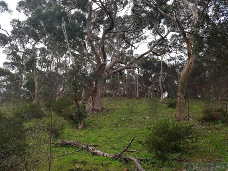 220 Ryberg Rd, American River SA 5221