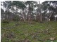 220 Ryberg Rd, American River SA 5221