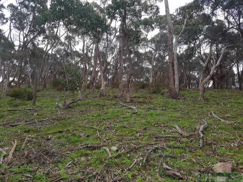 220 Ryberg Rd, American River SA 5221