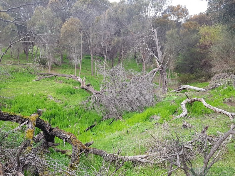 51/7 Wright Road, Penneshaw SA 5222