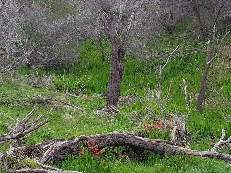 51/7 Wright Road, Penneshaw SA 5222