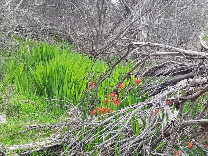 51/7 Wright Road, Penneshaw SA 5222