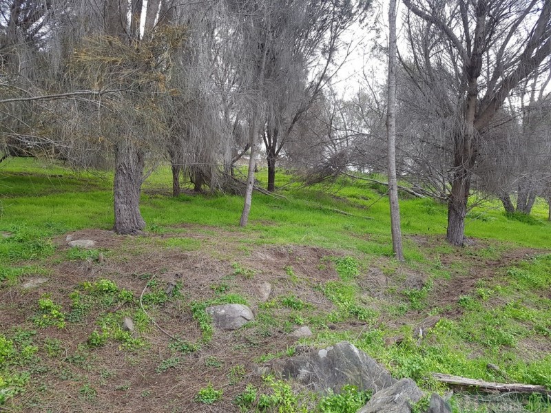 51/7 Wright Road, Penneshaw SA 5222