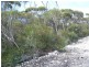 3 Hog Bay Road, Pelican Lagoon SA 5222
